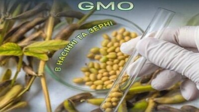 gmo1708